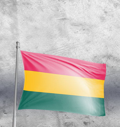 AHS Vlag