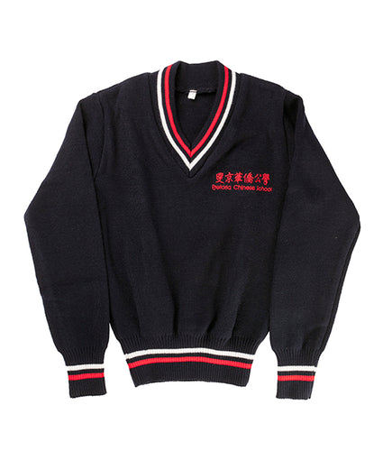 PCS - Longsleeve Jersey (44)